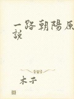 一路朝阳原著小说封面