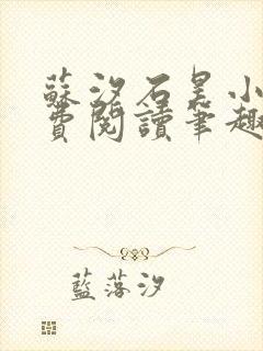 苏汐石昊小说免费阅读笔趣阁