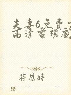夫妻6免费完整高清电视剧看封面