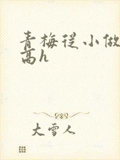 青梅从小做到大高h封面