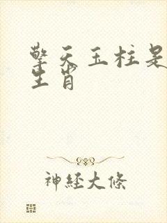 擎天玉柱是什么生肖