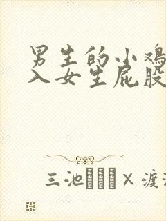 男生的小鸡鸡插入女生屁股里视频