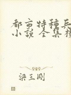 都市特种兵有声小说 全集杨洛