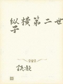 纵横第二世界宽子