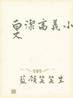 白洁高义小说全文