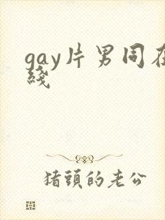 gay片男同在线封面