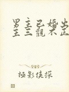 男主已婚出轨女主三观不正小说