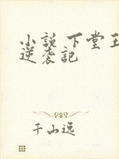 小说 下堂王妃逆袭记