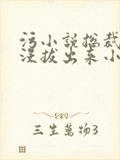 污小说总裁整夜没拔出来小说在线阅读