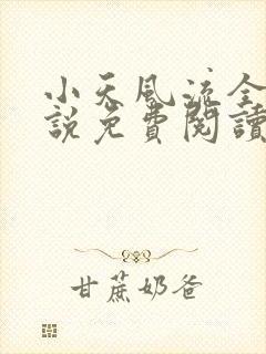 小天风流全集小说免费阅读