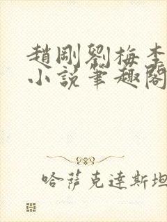 赵刚刘梅李晓雅小说笔趣阁封面