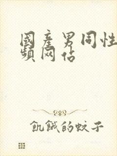 国产男同性恋视频网站