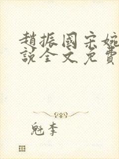 赵振国宋婉清小说全文免费阅读封面