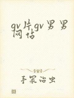 gv片gv男男网站
