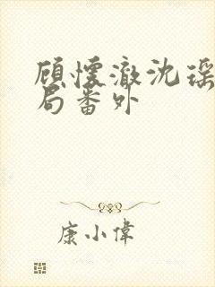 顾怀澈沈瑶大结局番外