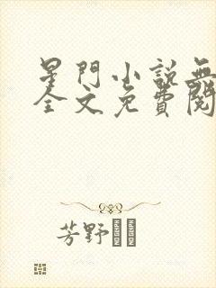 星门小说无弹窗全文免费阅读封面