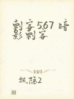 刺客567 暗影刺客