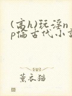 (高h)玩淫np伦古代小说