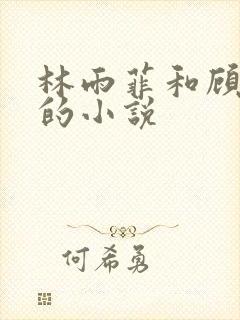 林雨菲和顾北潇的小说
