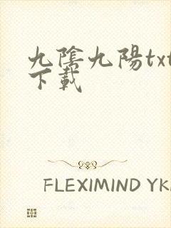 九阴九阳txt下载