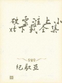 破云淮上小说txt下载全集封面