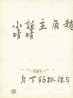 小说主角赵旭李晴晴