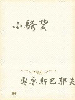 小骚货