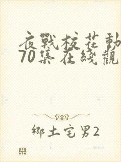 夜战校花动漫共70集在线观看