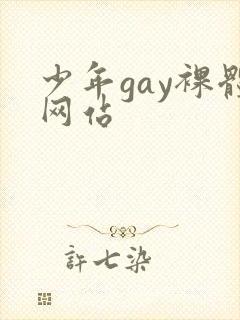 少年gay裸体网站