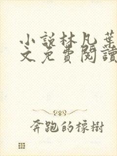小说林凡叶惜全文免费阅读封面