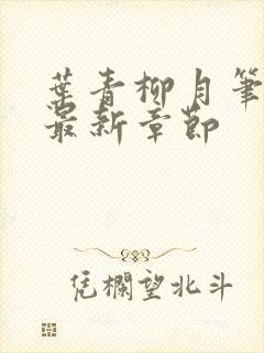 叶青柳月笔趣阁最新章节封面