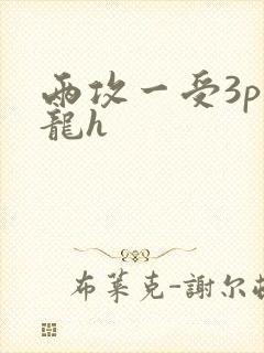 两攻一受3p双龙h