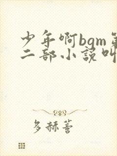 少年啊bgm第二部小说叫什么