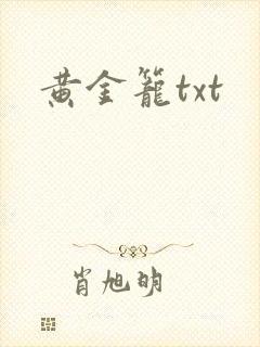 黄金笼txt