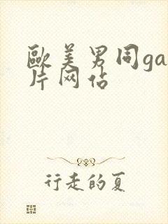 欧美男同gay片网站