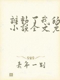 谁动了我的老婆小说全文免费阅读