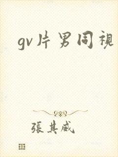 gv片男同视频封面