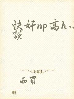 快奸np高h小说封面