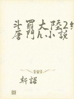 斗罗大陆2绝世唐门h小说