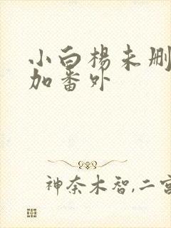 小白杨未删减版加番外