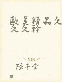 欧美精品久久久久久干