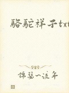 骆驼祥子txt封面