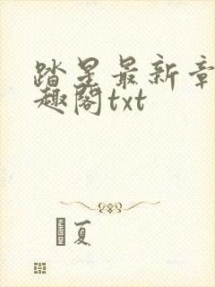 踏星最新章节笔趣阁txt