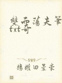 双面荡夫笔趣阁txt奇