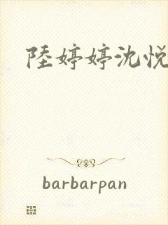 陆婷婷沈悦小说封面