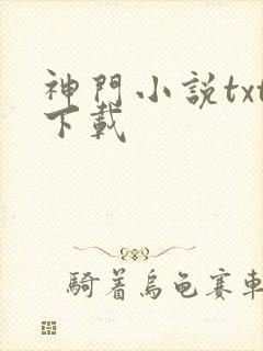 神门小说txt下载