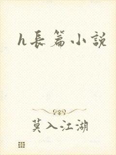 h长篇小说