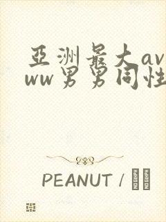 亚洲最大avwww男男同性恋