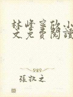 林峰宁欣小说全文免费阅读笔趣阁封面