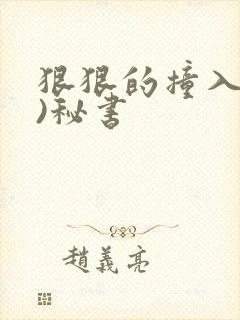 狠狠的撞入(h)秘书